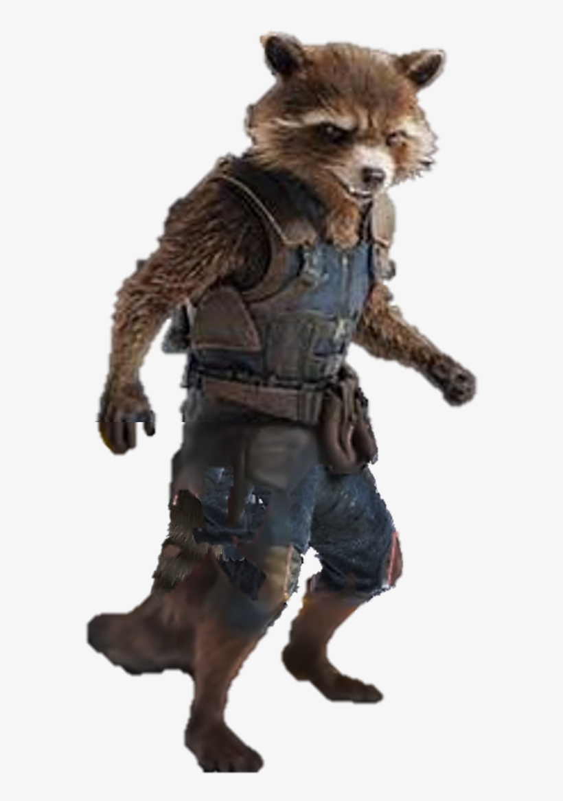 Rocket Raccoon Png Image Library Stock - Rocket Raccoon Infinity War, transparent png #238291