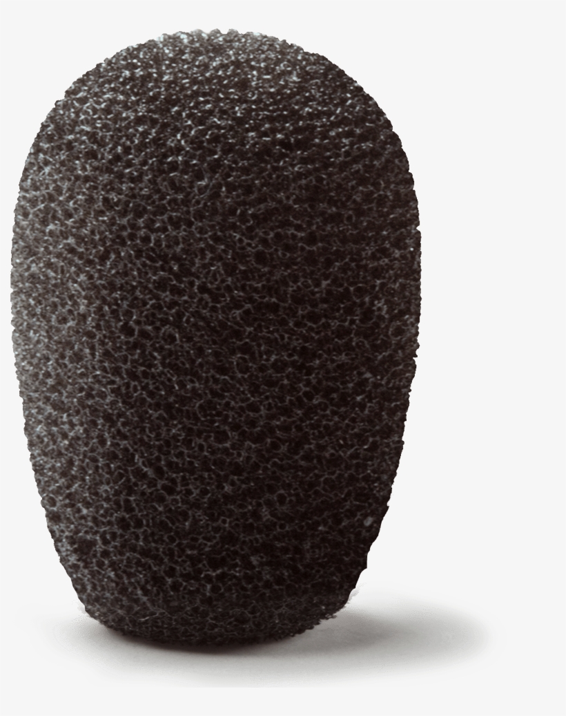 Wsnr-bl Dual Mic Windscreen - Point Source Audio Windscreen For Co-2 Dual-element, transparent png #238401