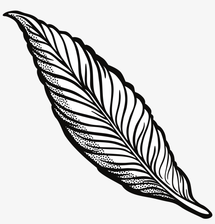 Line Drawing Feather At Getdrawings - Feather Clipart Transparent, transparent png #238477