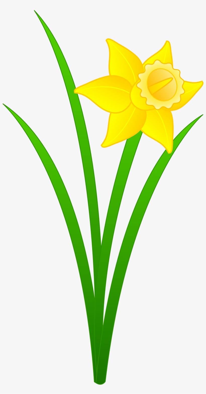 Limp Clipart - Daffodil Flower Clip Art, transparent png #238493