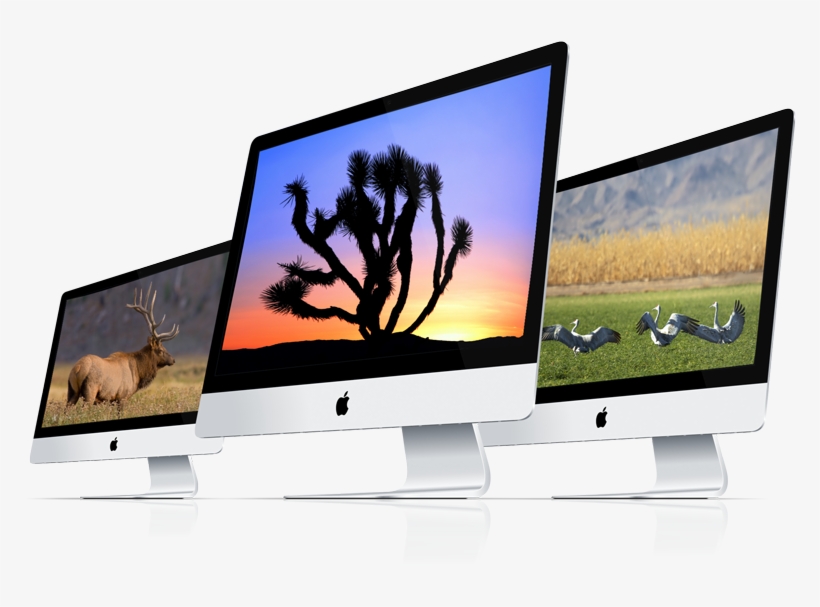 St Page Of Desktop Wildlife Nature, transparent png #238825