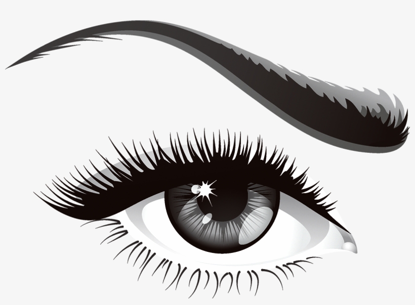The Human Eye Is A Complex Organ - Lash, transparent png #239049