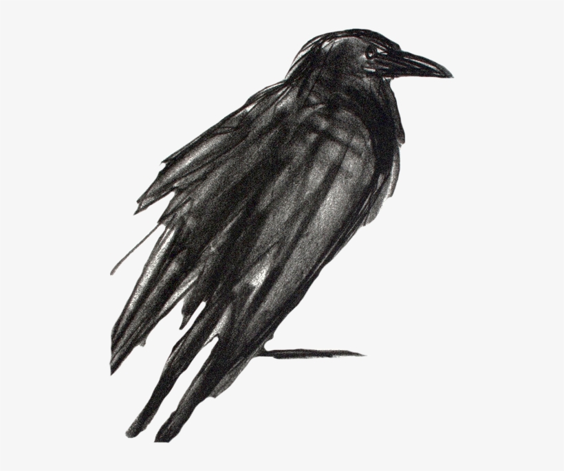 Imagine The One You Love- Love So Much Your Heart Could - Raven, transparent png #239070