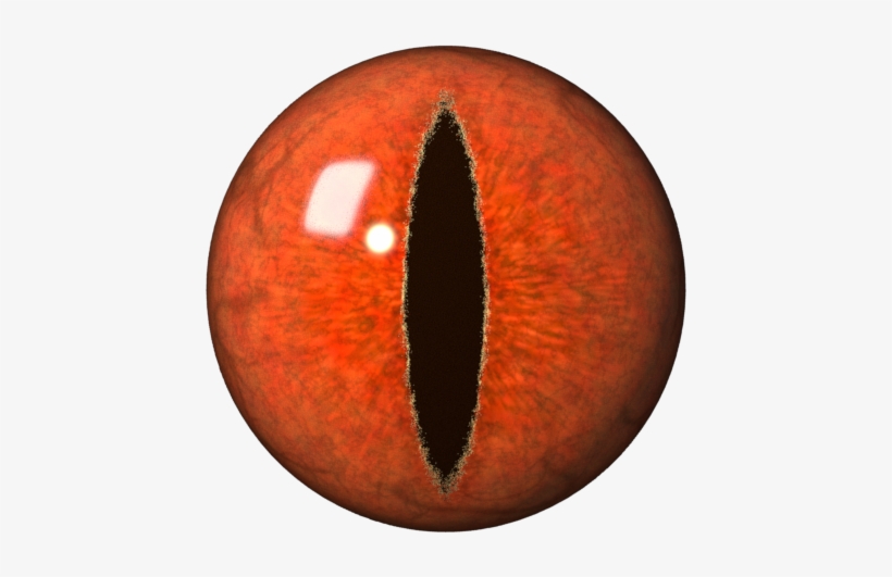 Pooper Eye - Dragon Eye Png, transparent png #239655