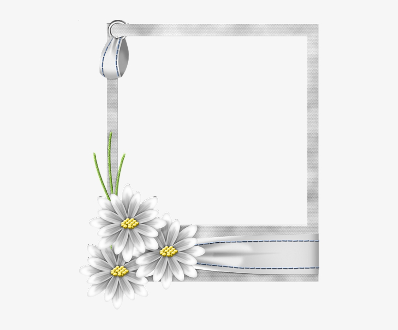Flo Frame White - Hd White Flower Frame Png, transparent png #239784