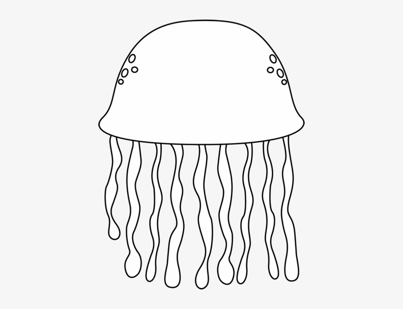 Jellyfish Jelly Fish Outline Clipart Kid - Sea Life Clipart Png Black And White, transparent png #239811