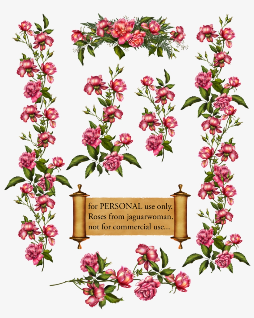 Pink Flower Vine Png Download - Climbing Rose Clip Art, transparent png #239906
