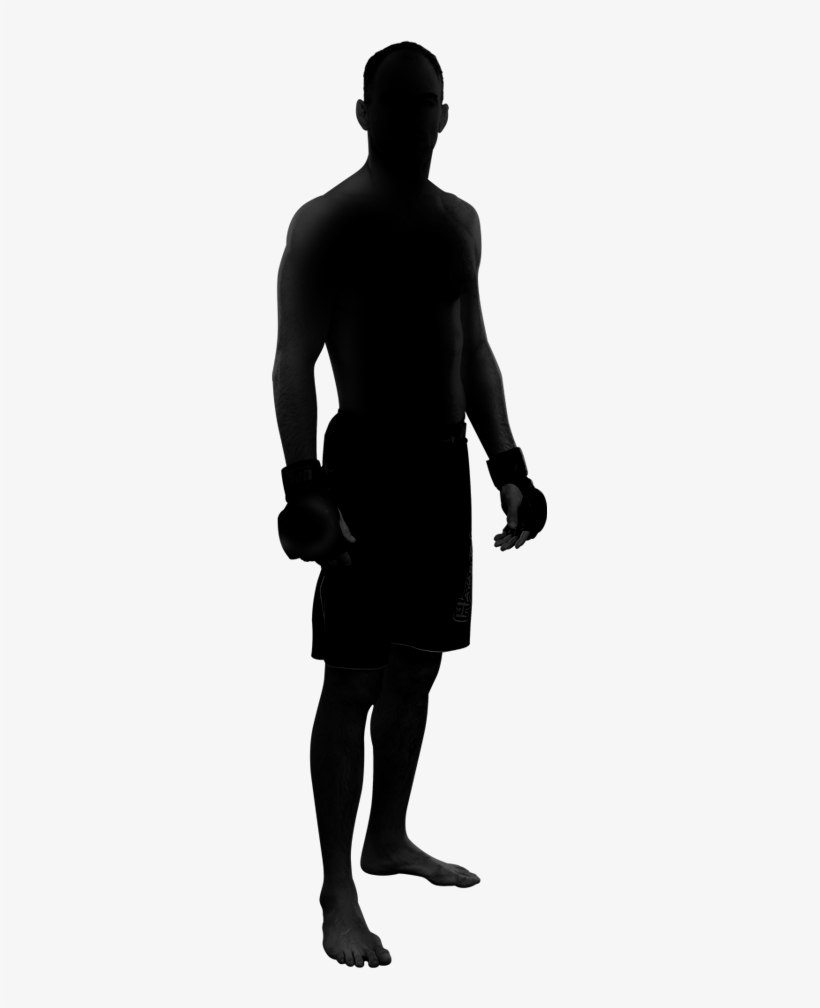 Pingyuan - Shadow Fighter Png, transparent png #2300703