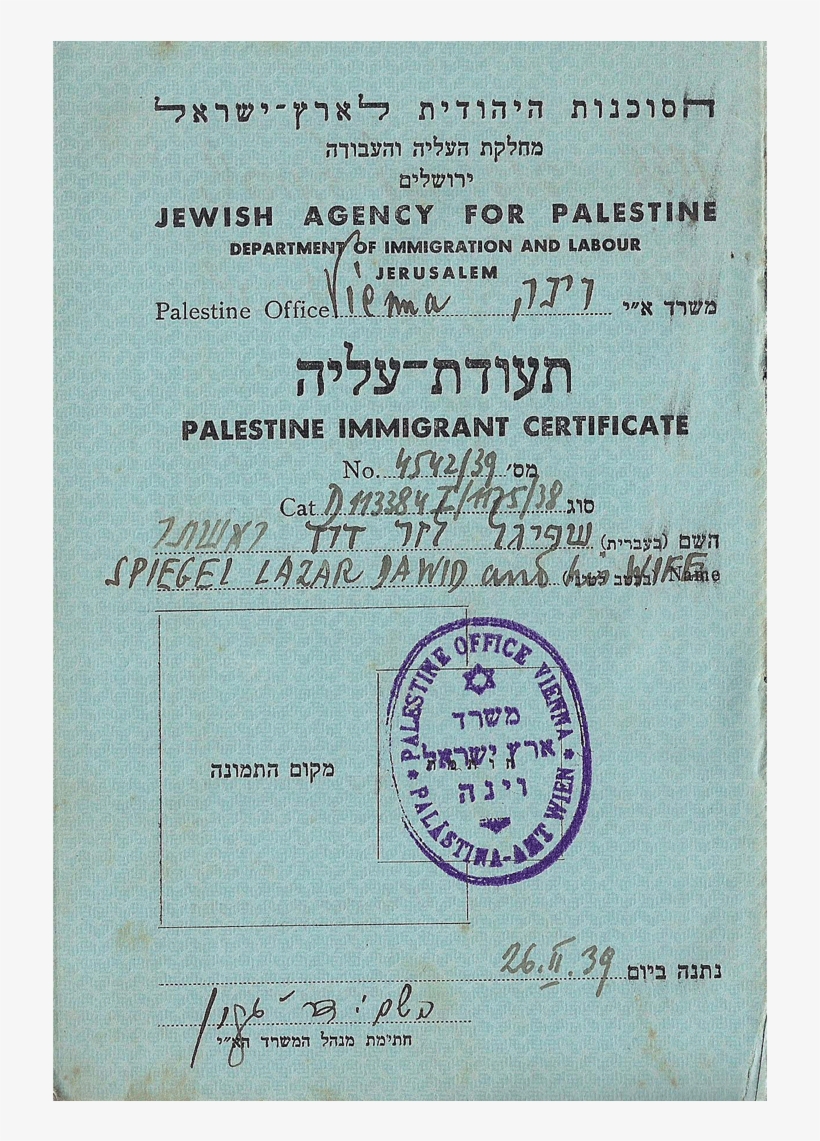 12 - Diploma, transparent png #2302081