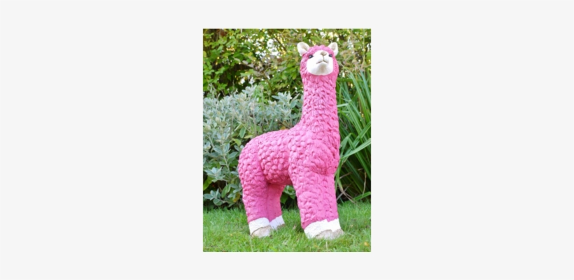 Liberty The Llama - Llama, transparent png #2302739