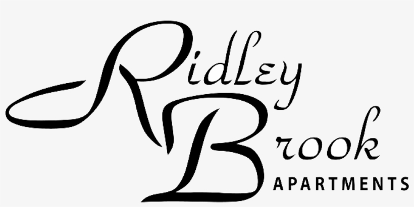 Ridley Brook - Novosibirsk, transparent png #2304902