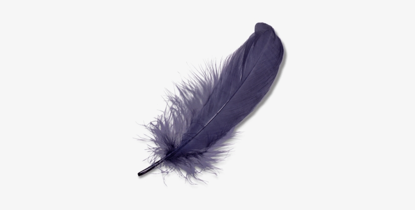 Photoshop Clipart Blue Feather - Feather Png, transparent png #2305730