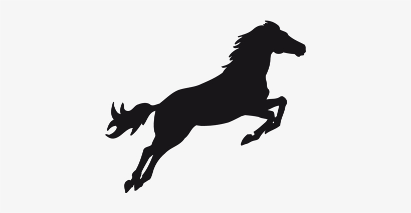 Caballo 008 - Unicorns Unicorns Throw Blanket, transparent png #2306338