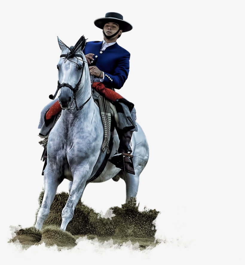 Activities And Shows For Everyone - Madrid, transparent png #2306800