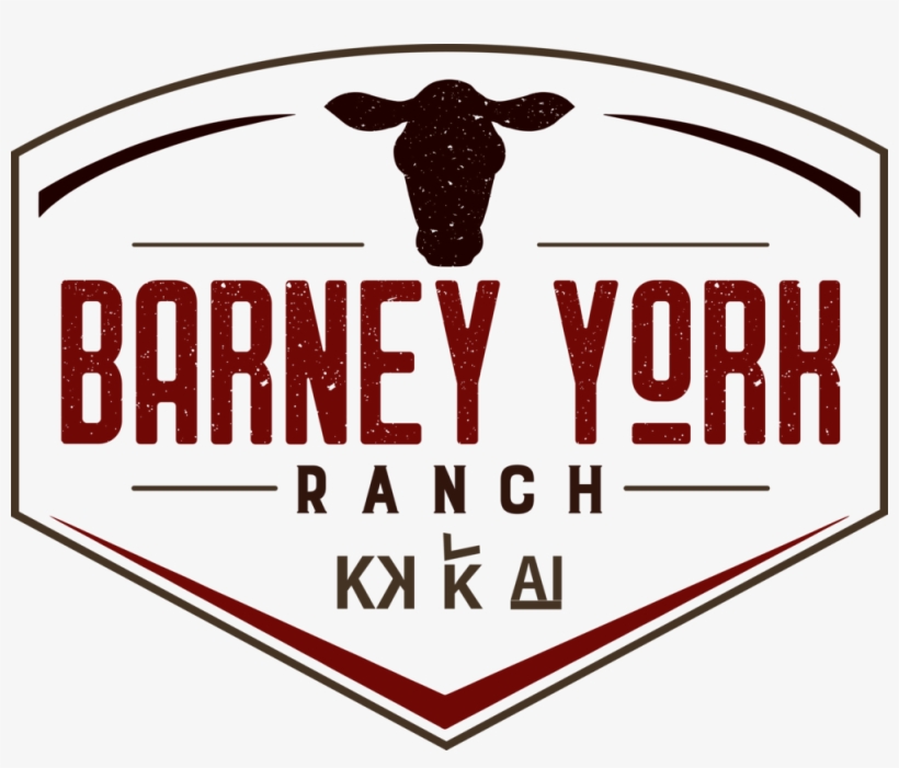 Png - Portable Network Graphics, transparent png #2307140