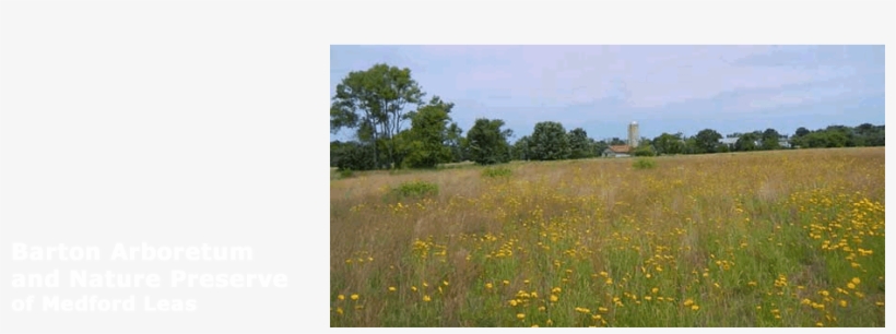 Barton Arboretum And Nature Preserve - Nature, transparent png #2307167