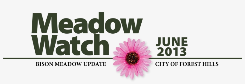 Meadow - Iwatt, transparent png #2307258
