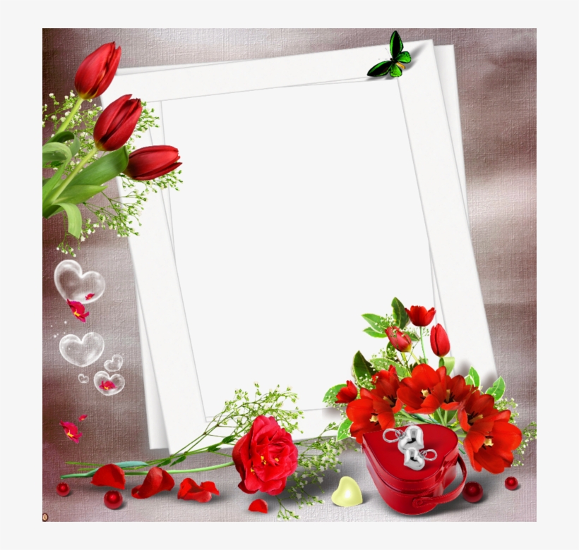 Cadres Vides Pr T A Utilis - Rose Happy Birthday Card, transparent png #2307707