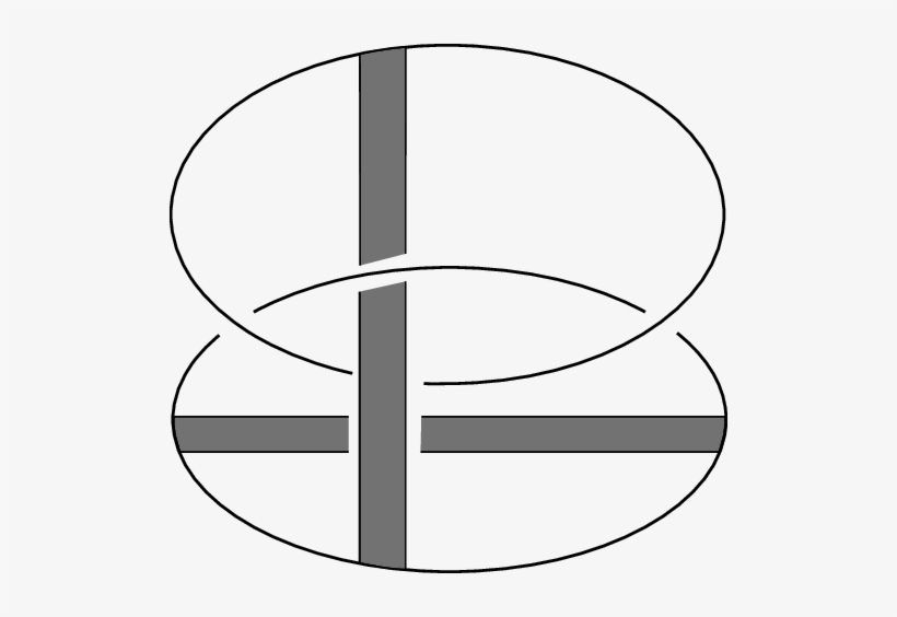 The Spun Of The Trefoil Knot - Circle, transparent png #2307832
