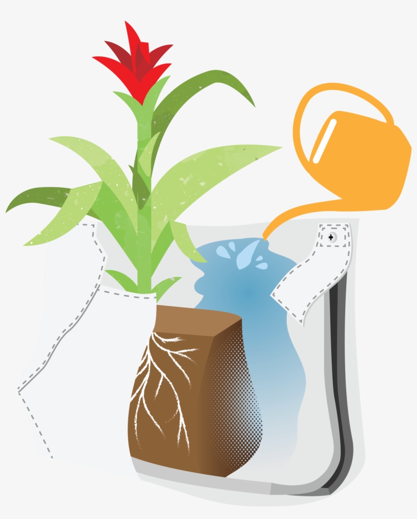 Ii Pocket - Flowerpot, transparent png #2308967
