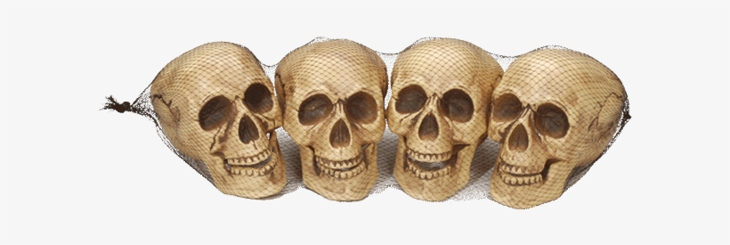 4 Skull Bag Sm - Skull, transparent png #2310574