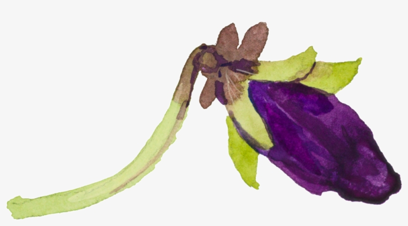 Flowery Transparent - Purple, transparent png #2311529