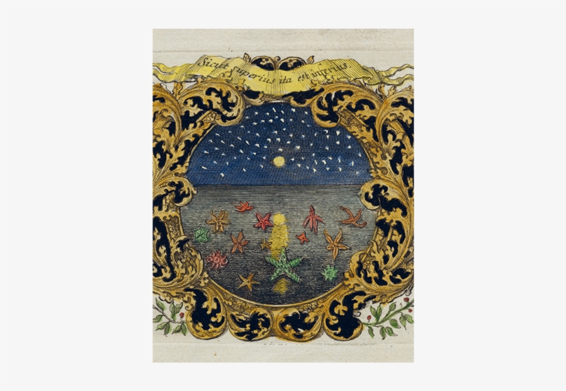 Starfish & Starry Night - Motif, transparent png #2311590