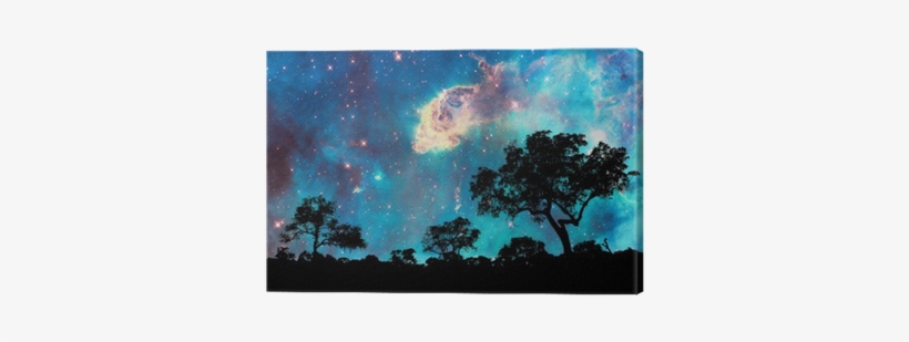 Night Landscape With Silhouette Of Trees And Starry - Carina Nebula [up Close] Shower Curtain, transparent png #2311655