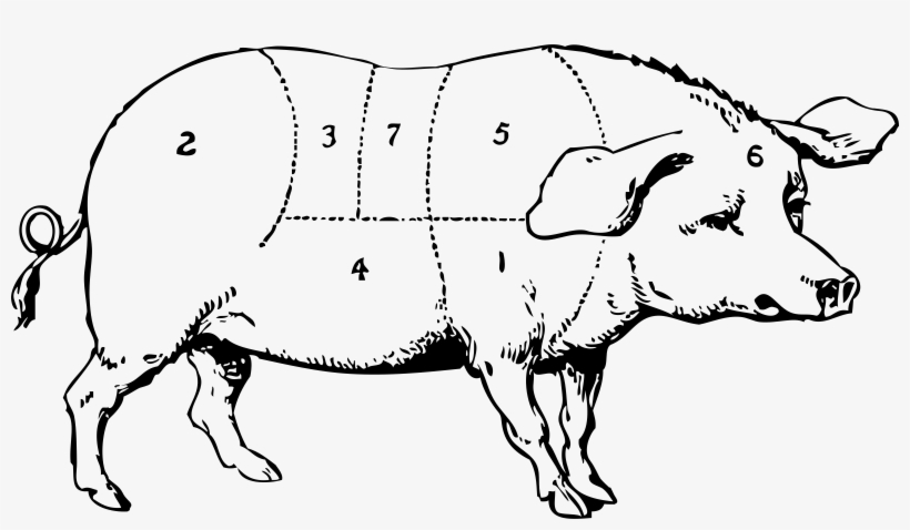 Hog Png, transparent png #2312001