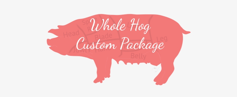 An Image Of A Whole Hog With Custom Meat Cuts Indicated - Pig, transparent png #2312299
