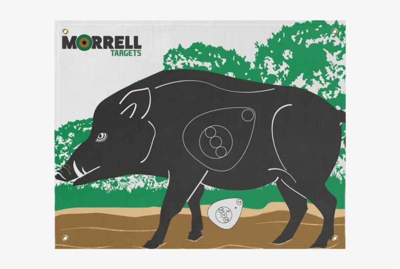 Morrell Targets Polypropylene Archery Target Face,, transparent png #2312407