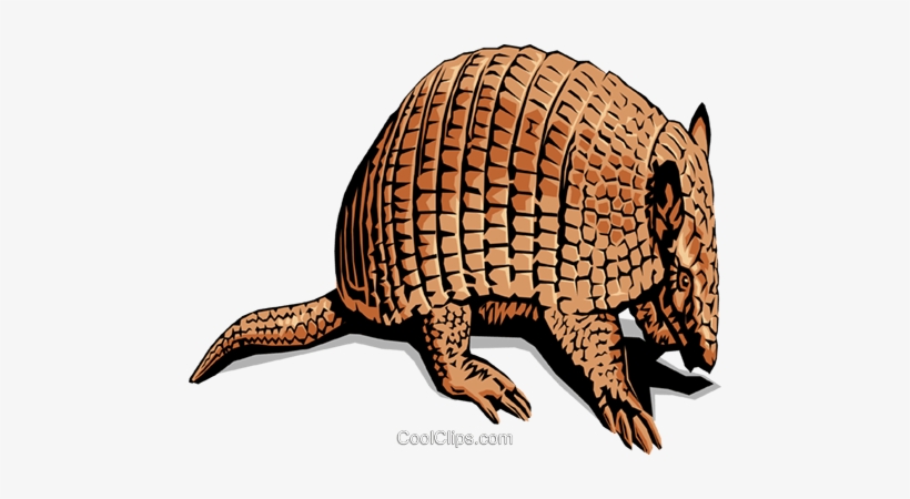 Armadillos Royalty Free Vector Clip Art Illustration - Typical Animal Of Mexico, transparent png #2312634