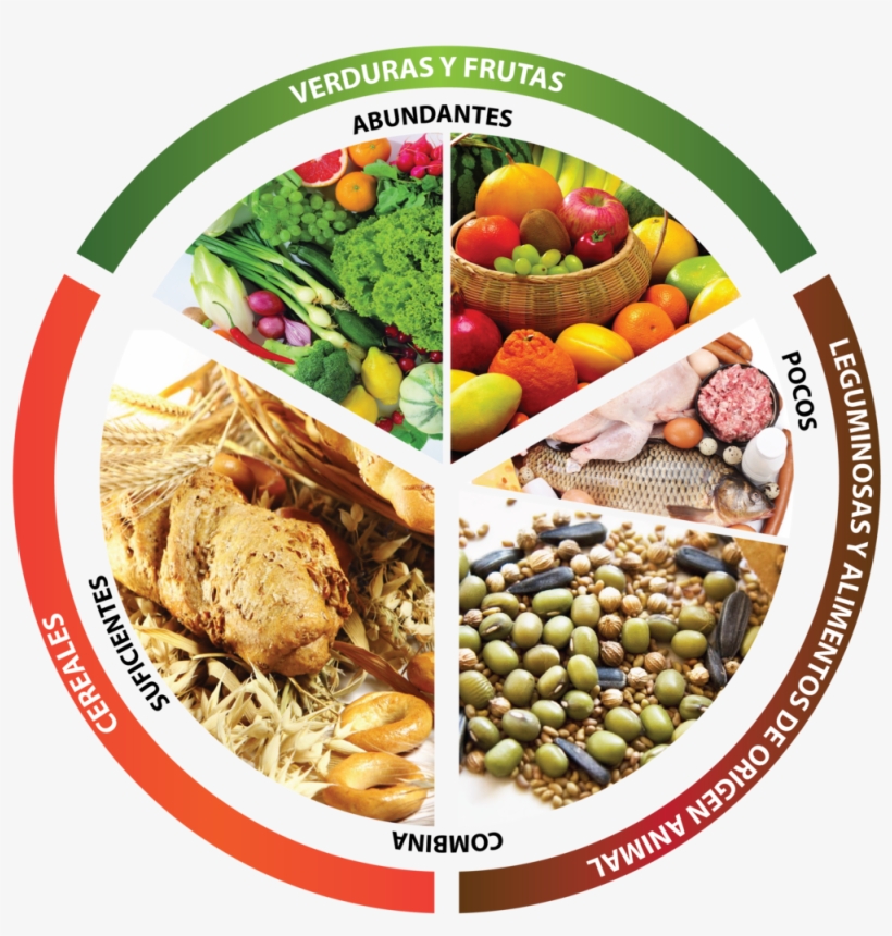 Health And Dieting With The Benefits Of Oils And Nutrition:, transparent png #2312786