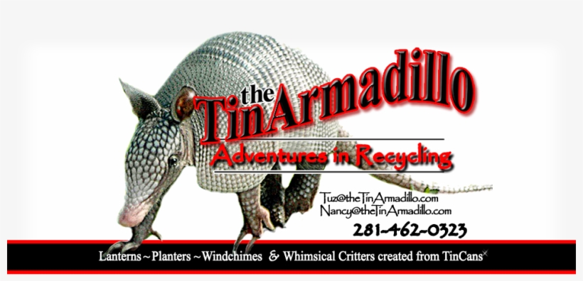 Armadillo, transparent png #2312872