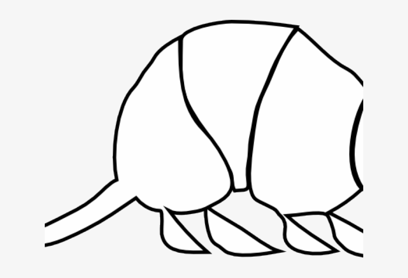 San Antonio, transparent png #2313032