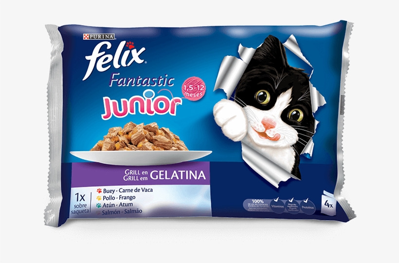 Junior - Felix Junior Agail Gij 10x100 Gr, transparent png #2313103