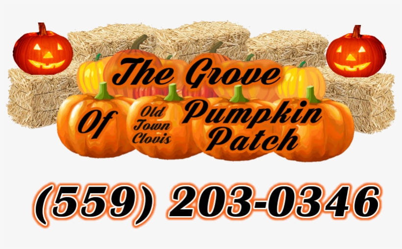 The Grove Of Old Town Clovis Pumpkin Patch Logo Inside - Floracraft Straw Bales, 2 1/2-inch-by-1 1/4-inch-1-inch, transparent png #2313314