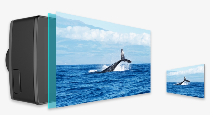 Your World In 4k - Yi Ii International Version Sports Camera (black), transparent png #2313338