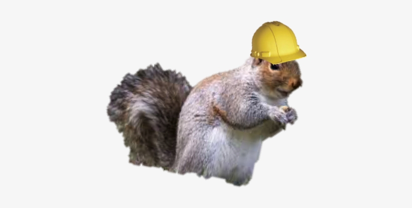 Blog Post 5 Its Not Too Late To Motivate 1 - Fox Squirrel, transparent png #2313339