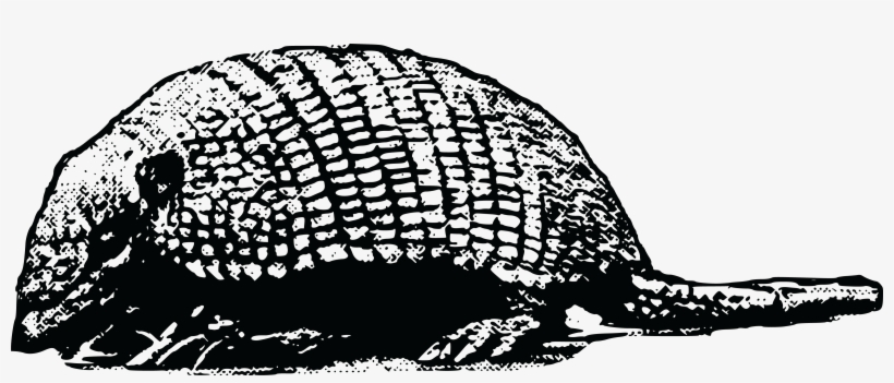 , , - Portable Network Graphics, transparent png #2313364