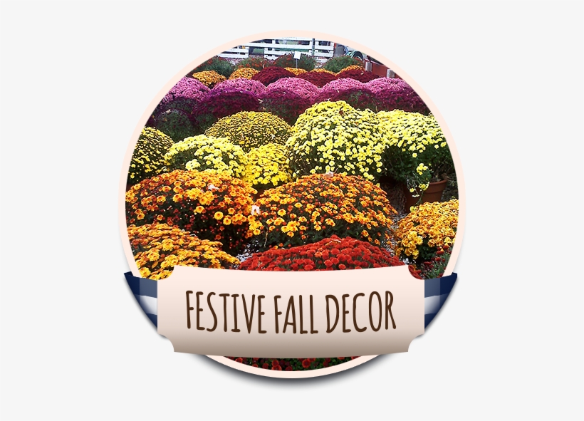 The U Pick Pumpkin Patch At Debuck's Corn Maze & Pick - Howell's, transparent png #2313408