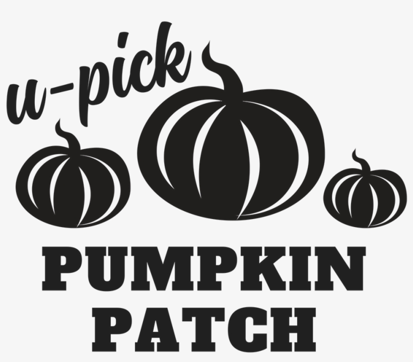 My Latest Videos - Cookie, transparent png #2313479