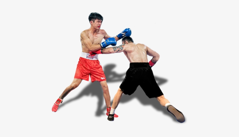 Professional Boxing, transparent png #2313904