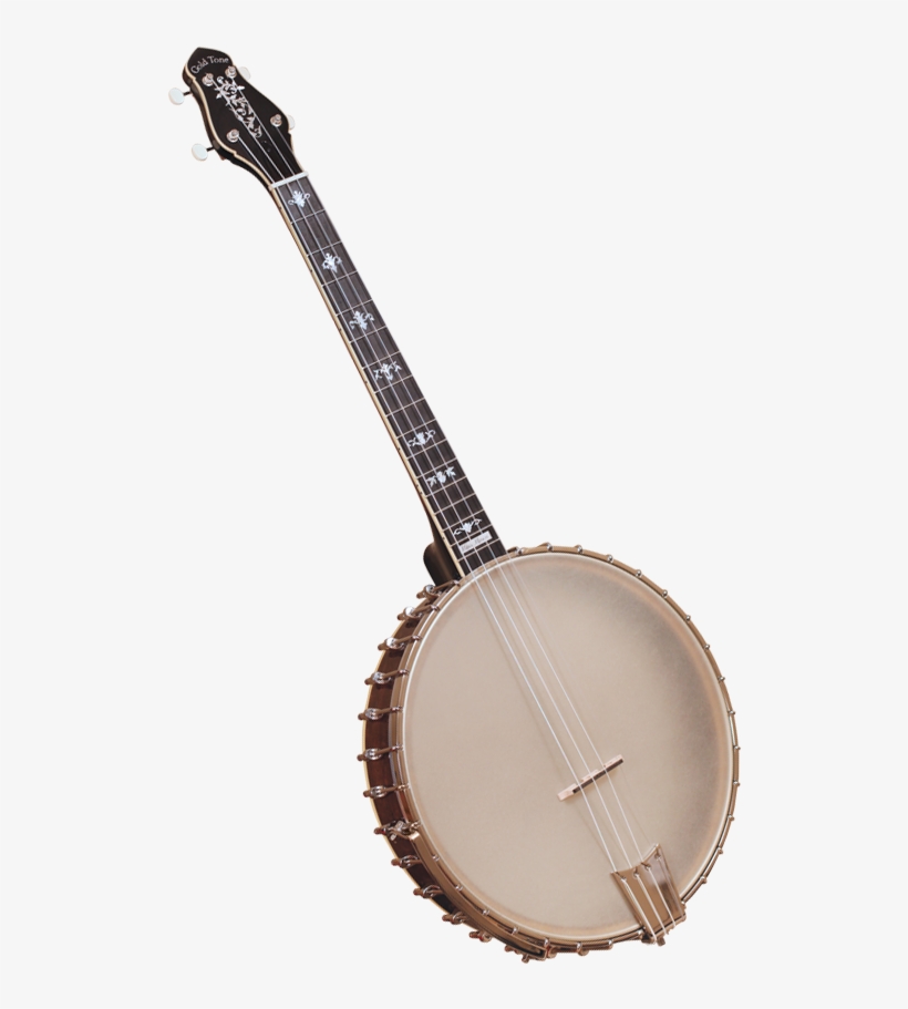 19-fret Tenor Banjos - Gold Tone Ceb-5 5-string Cello Banjo With Case, transparent png #2314719