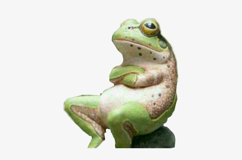 Frog Nsfw, transparent png #2314802