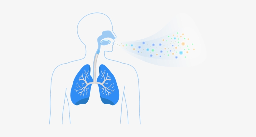 Breath Contains Chemical Data - Invoy, Llc, transparent png #2315927