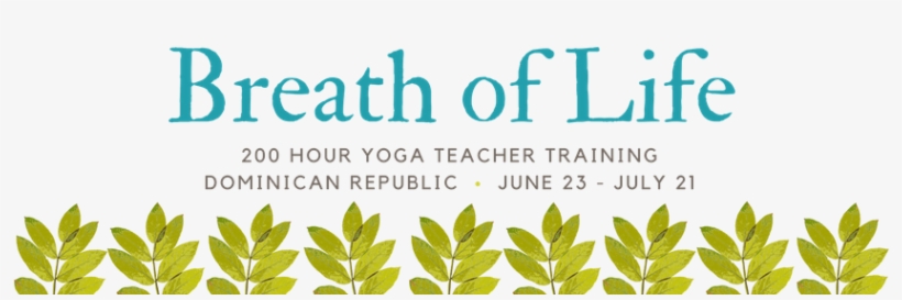 Breath Of Life - Calligraphy, transparent png #2316077