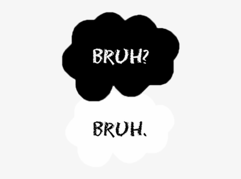 Photo - T-shirt, transparent png #2317207