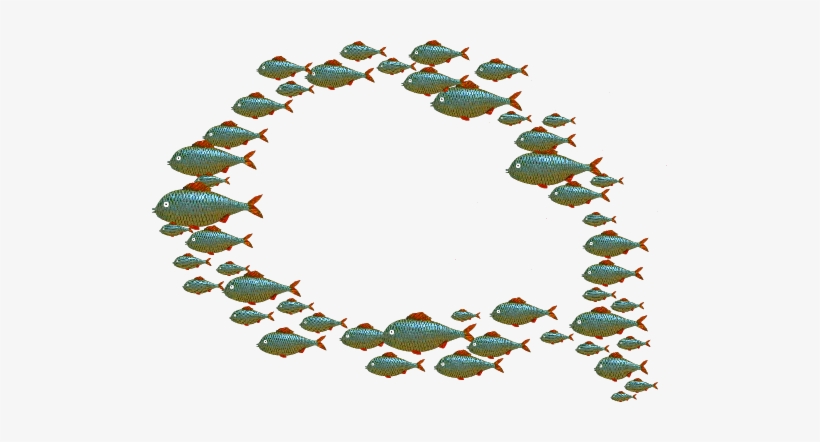 Questions We Had About Great White Sharks - Blog, transparent png #2317401