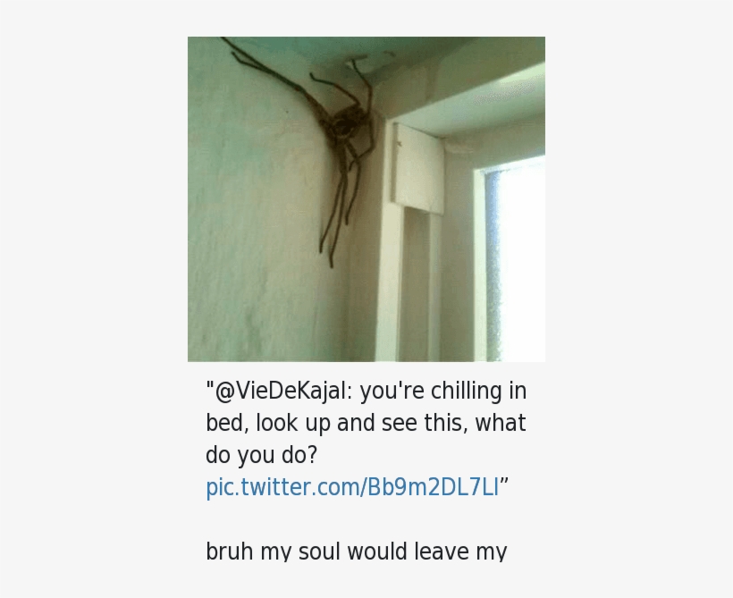 Bruh, Chill, And Ups - My Soul Would Leave My Body, transparent png #2317449